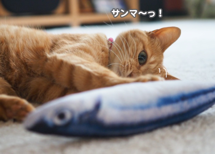 23日ブログ３