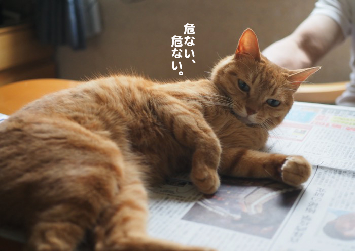 13日夕ブログ２