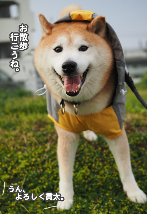 18日ブログ３