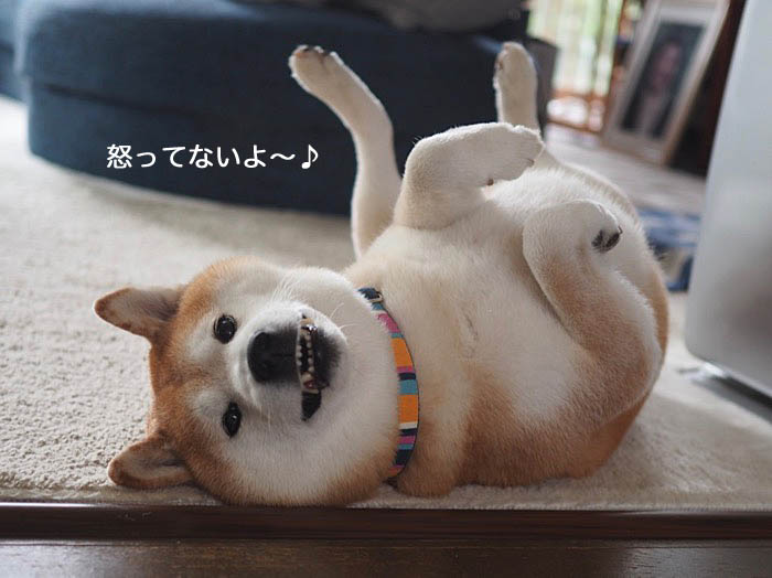 19日ブログ５