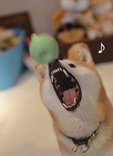 22日ブログ6