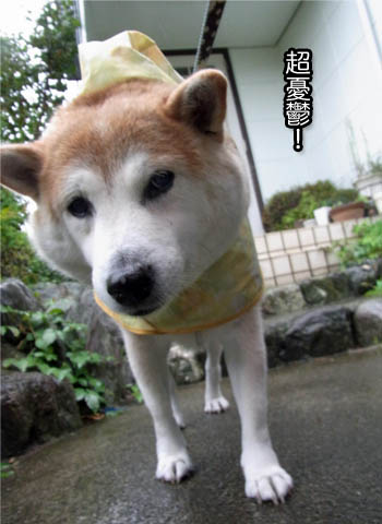23日ブログ3.jpg