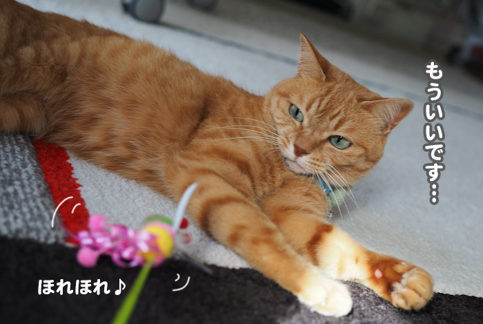 4日ブログ７