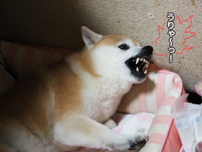 24日夜ブログ９
