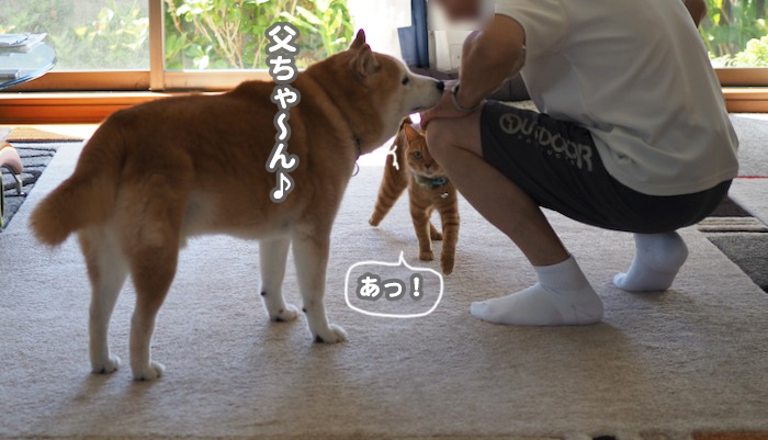 19日ブログ１