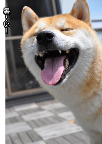 27日ブログ8.jpg