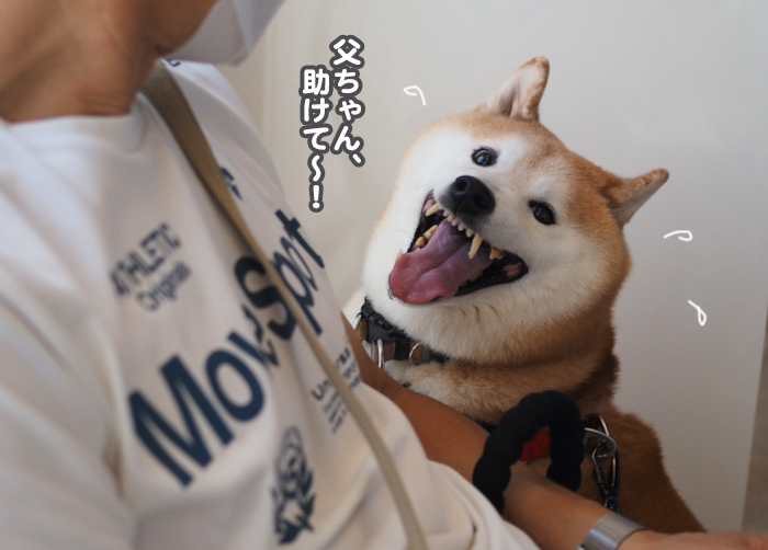 1日夕ブログ６