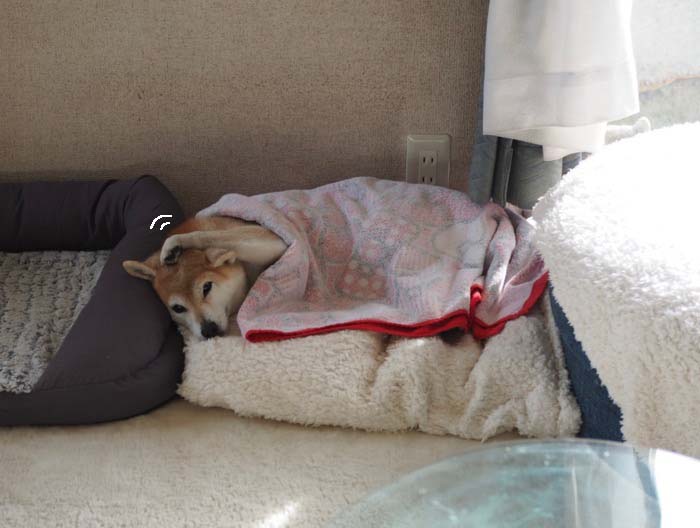 8日ブログ１