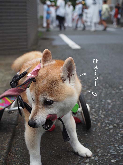 15日ブログ６