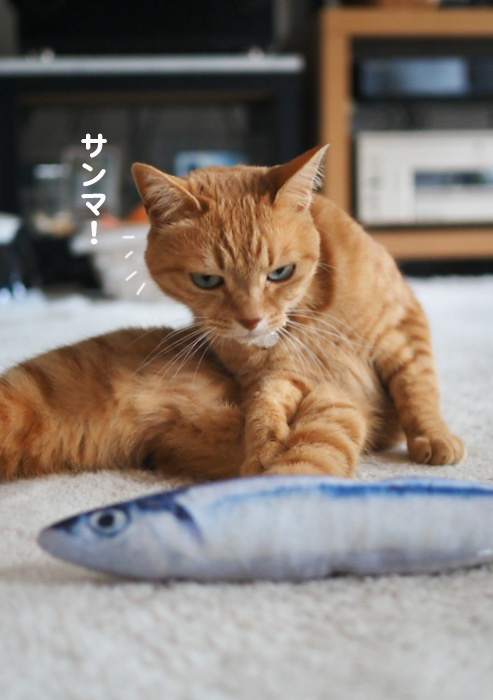 23日ブログ２