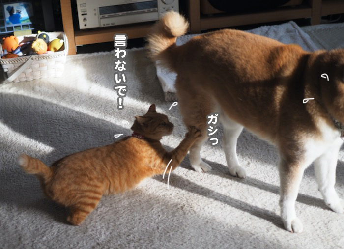 24日夕ブログ８