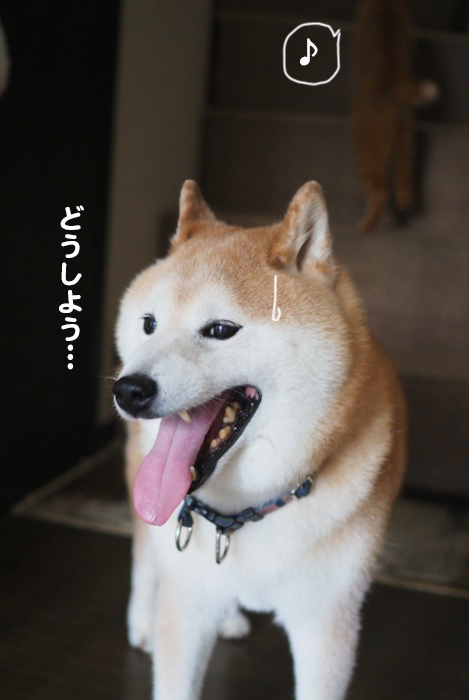 12日ブログ6