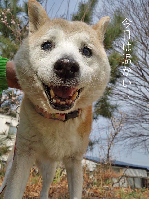 29日ブログ4