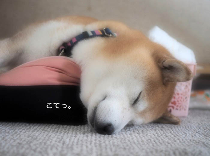 5日ブログ６