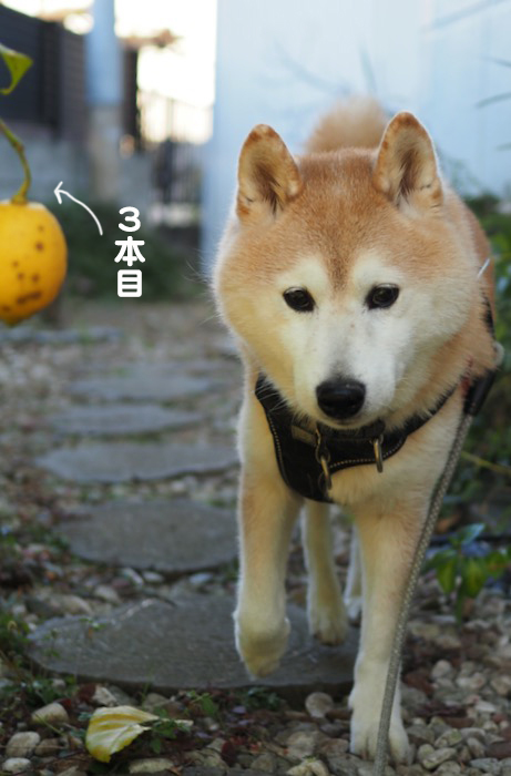 8日午前ブログ５
