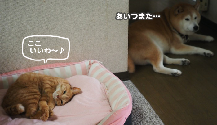 29日夕ブログ２