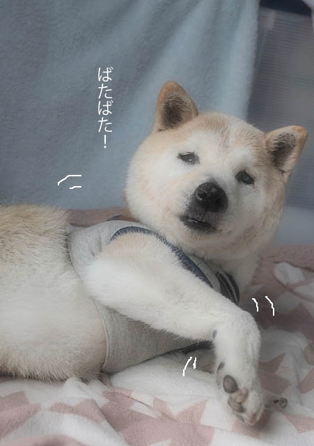 15日ブログ2