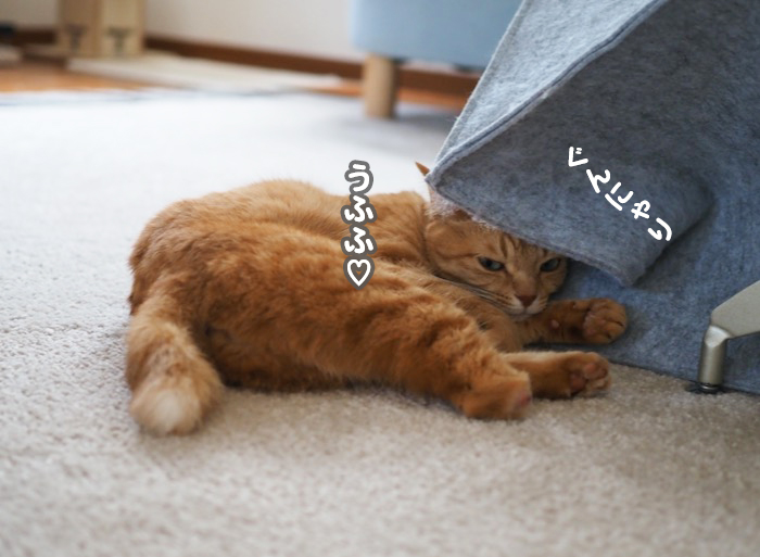 9日夕ブログ5