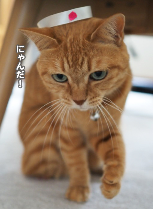 20日ブログ３