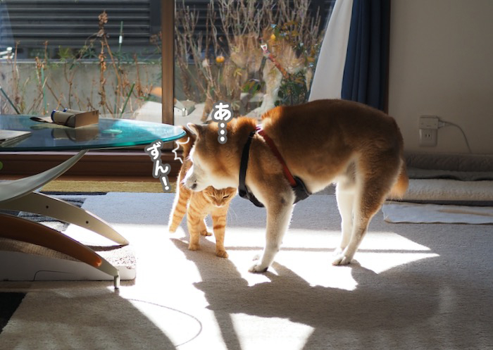 6日の夜ブログ２