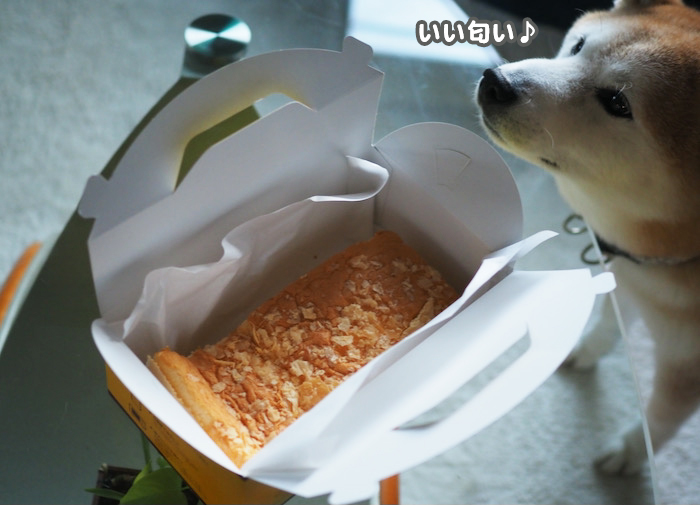 28日夕ブログ６