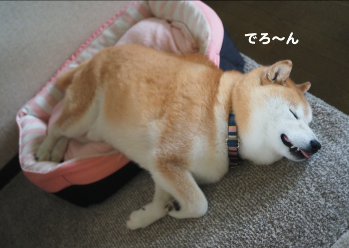 23日ブログ１