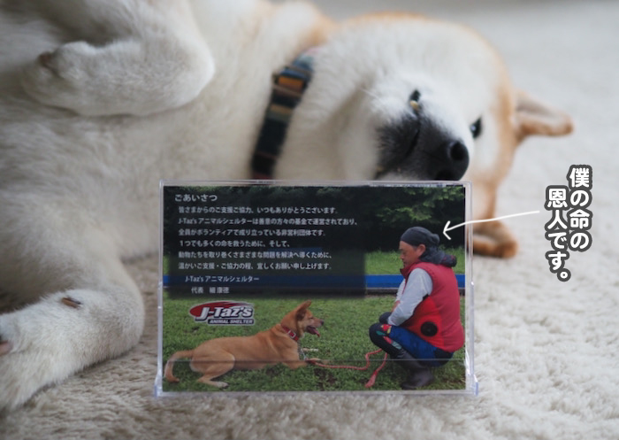 15日夕ブログ9