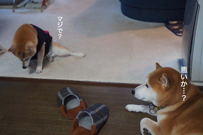 2日夜ブログ６