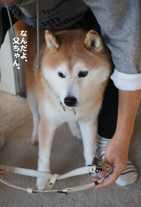 8日ブログ3