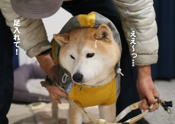 5日夜ブログ４