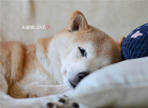24日ブログ9.jpg