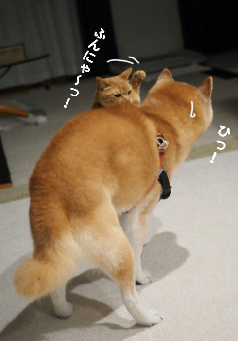 26日ブログ３