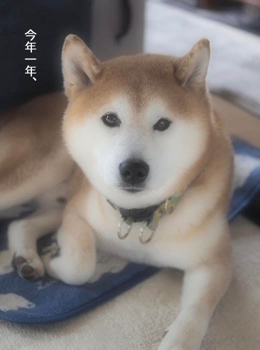 31日夜ブログ1