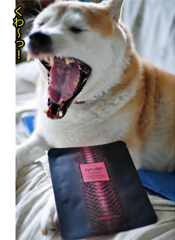 24日ブログ11.jpg