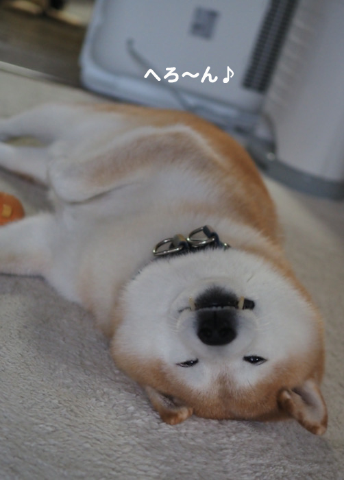 19日ブログ１