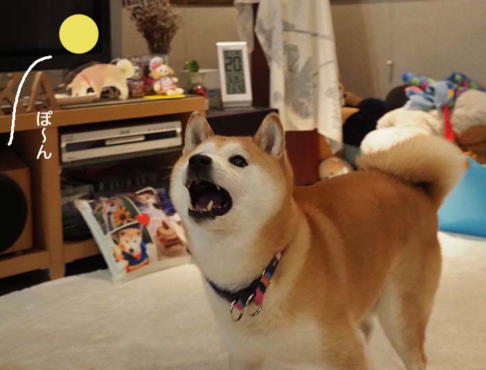 22日ブログ３