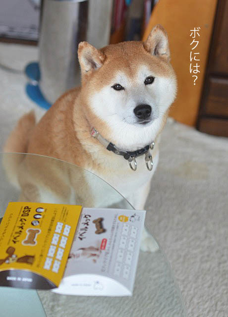 31日ブログ6