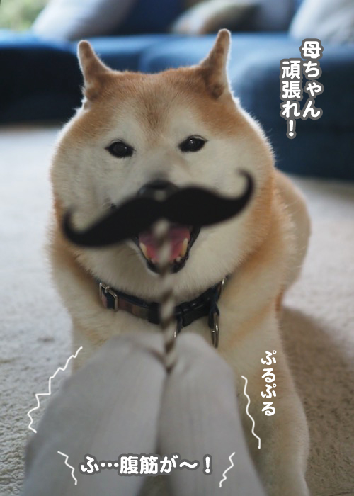 21日ブログ４