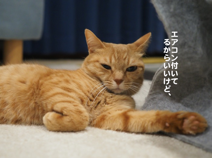 12日夜ブログ３