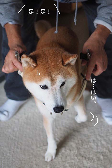 17日ブログ2