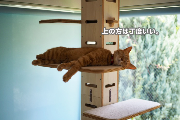 17日ブログ３
