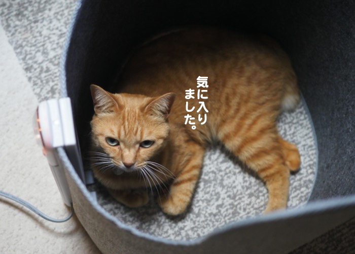 4日夕ブログ６