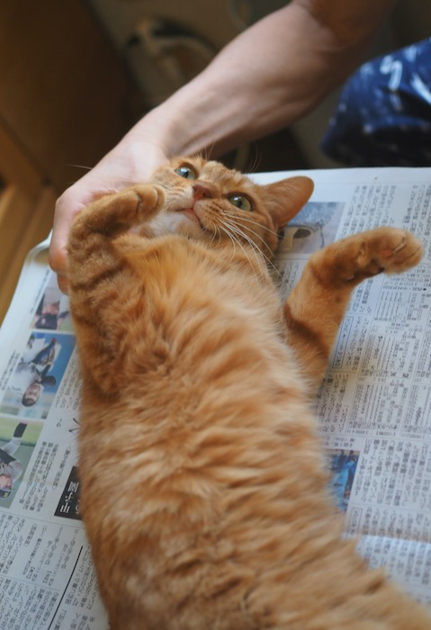 5日ブログ４