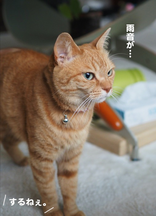9日ブログ２