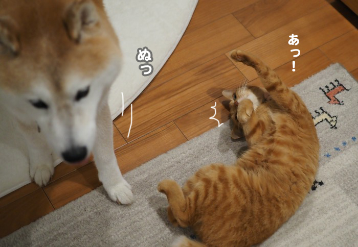 23日ブログ３