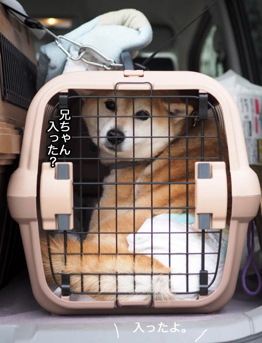 27日ブログ８