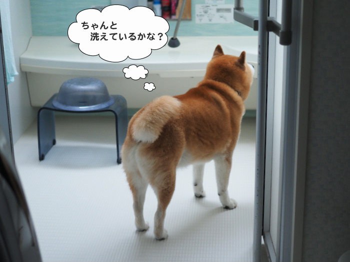 9日夕ブログ３