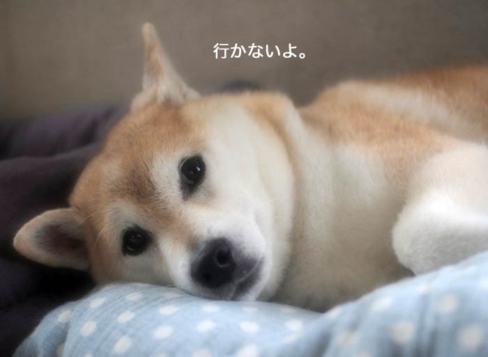 16日ブログ４