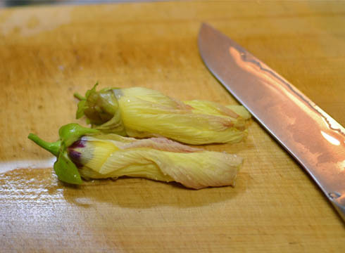 871b859c.jpg
