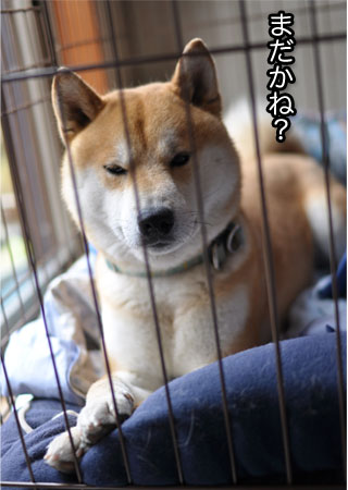 5日ブログ６.jpg